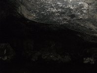 otta Intraleo-20100515 010